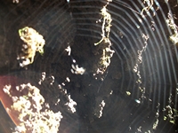 otta monte Cicirello-22042012 054